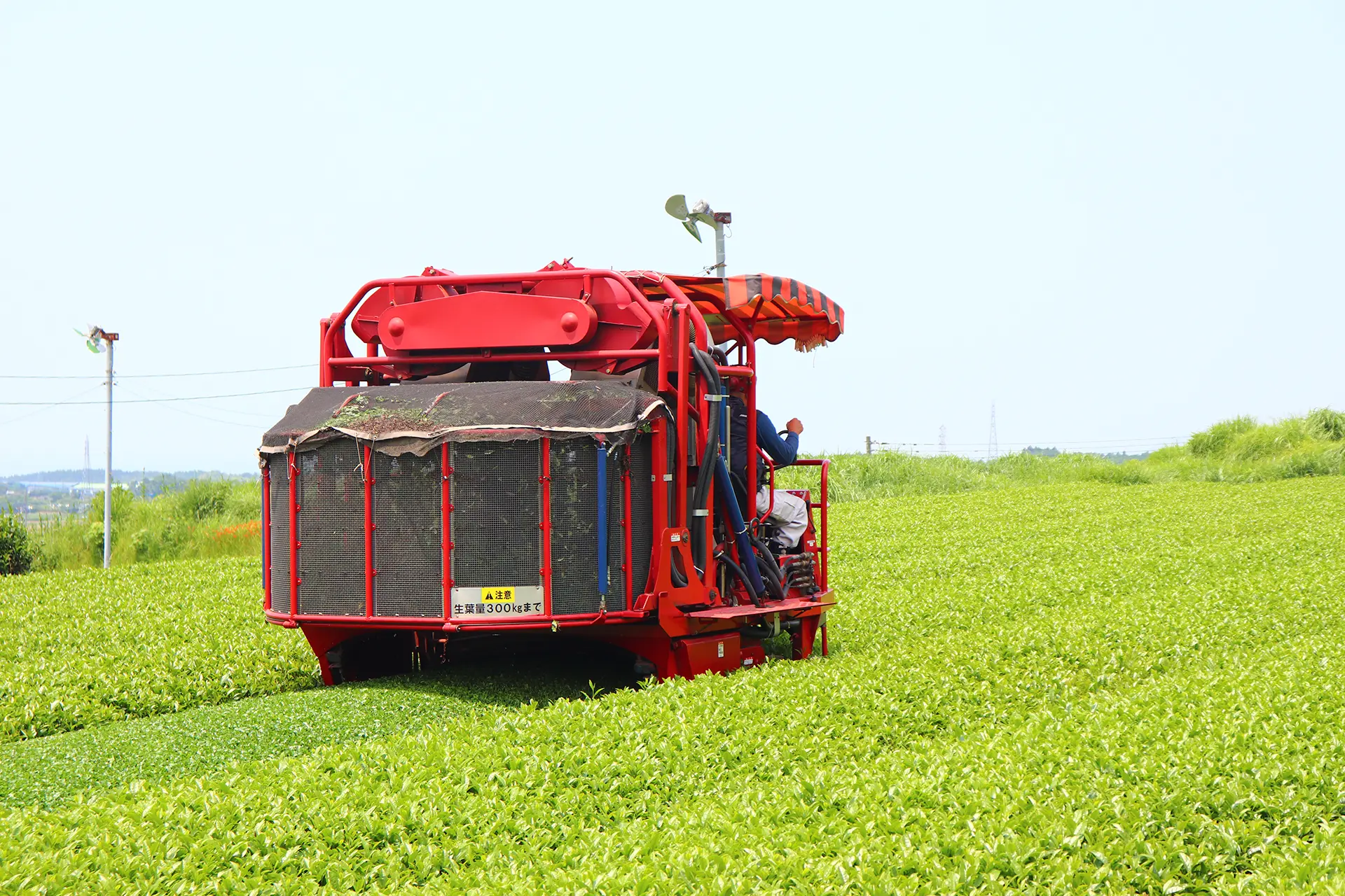 茶づくりのこだわり